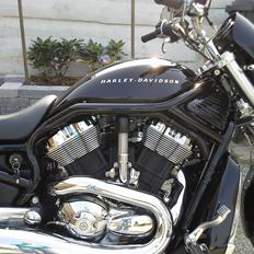 Harley Davidson Harley Davidson Sport Touring VRSCA
