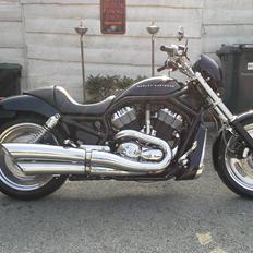Harley Davidson Harley Davidson Sport Touring VRSCA