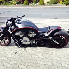 Harley Davidson V rod