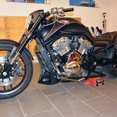 Harley Davidson V rod