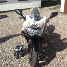 Suzuki Gsx 600 F - Airbrush