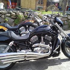 Harley Davidson Harley Davidson Sport Touring VRSCA