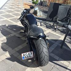 Harley Davidson Night Rod Special