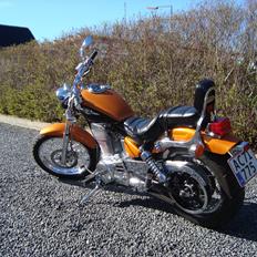 Suzuki LS 650 cc Savage