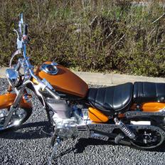 Suzuki LS 650 cc Savage