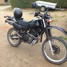 Honda XL 600 R