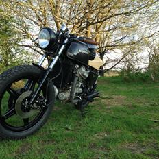 Honda CX 500 café