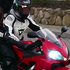 Honda Cbr 600 F