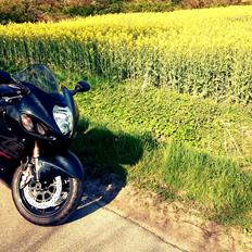 Suzuki GSX 1300 R Hayabusa Black Edition #SOLGT#