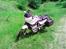 Honda XL600 V Transalp (PD06)