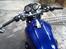 Honda Cb 900F Boldor