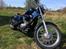 Honda VT 600 Shadow