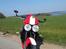 Triumph Speed Triple SE (Solgt)