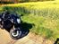 Suzuki GSX 1300 R Hayabusa Black Edition #SOLGT#