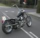 Harley Davidson panhead