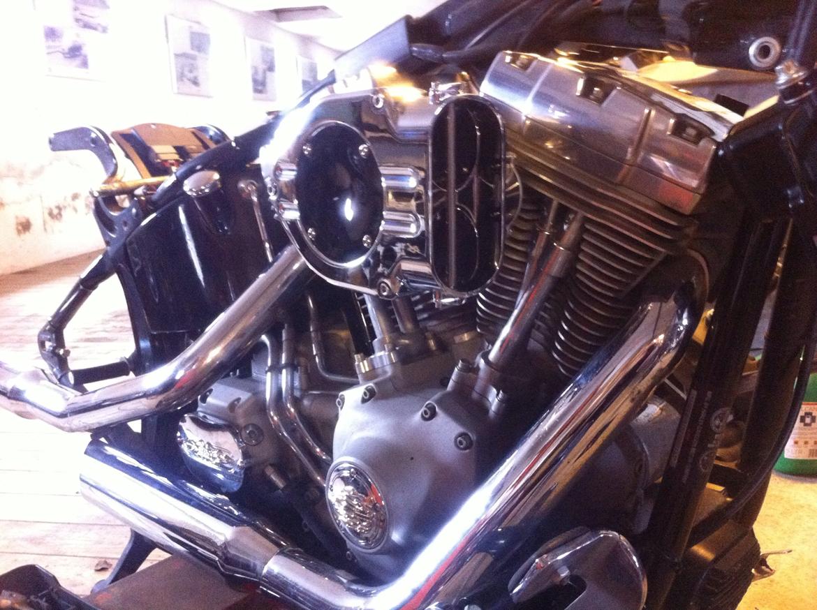 Harley Davidson Fxst softail billede 9