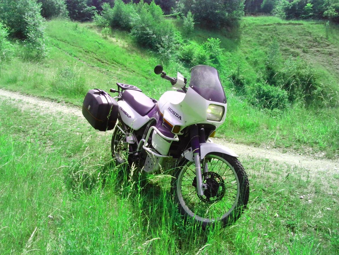 Honda XL600 V Transalp (PD06) billede 3