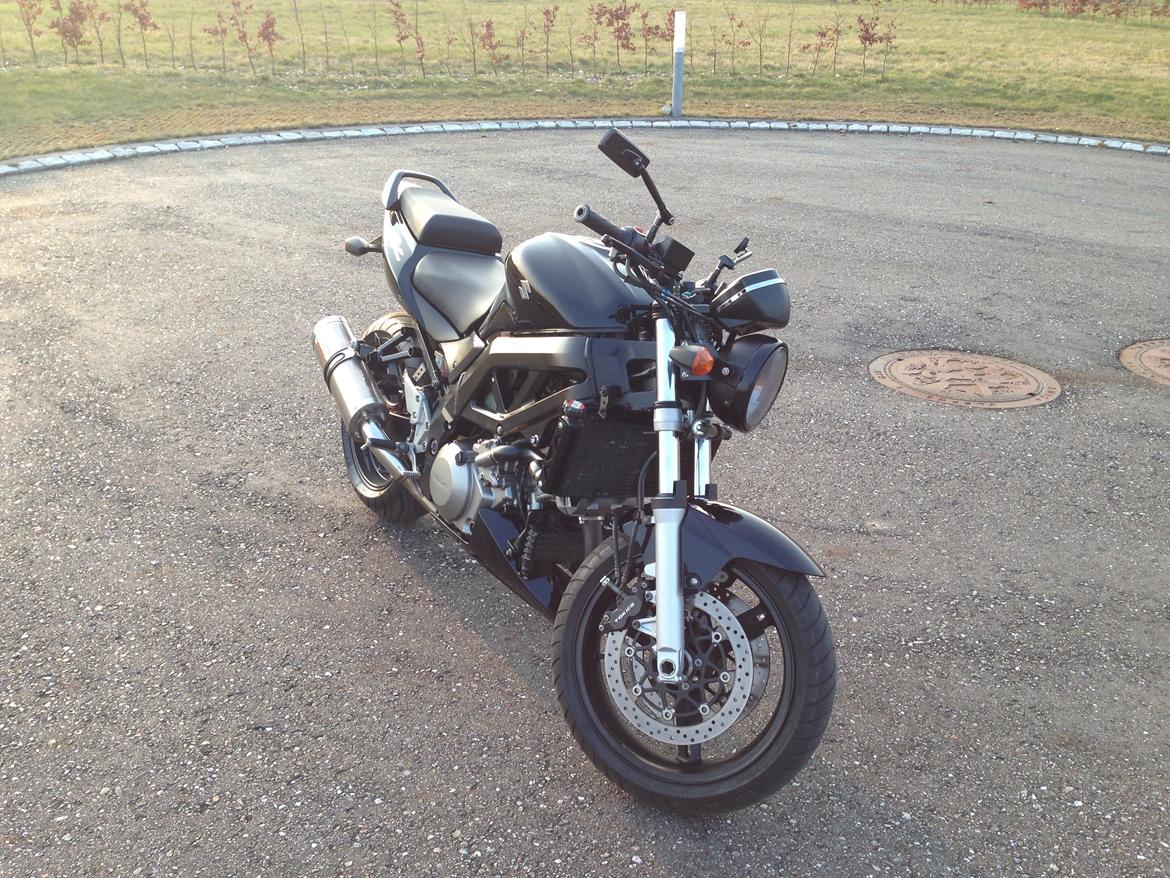 Suzuki SV 1000 N billede 9