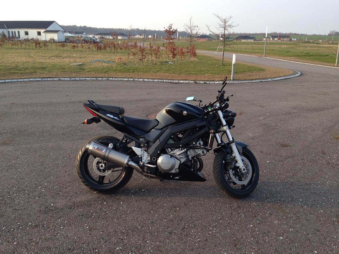 Suzuki SV 1000 N billede 12