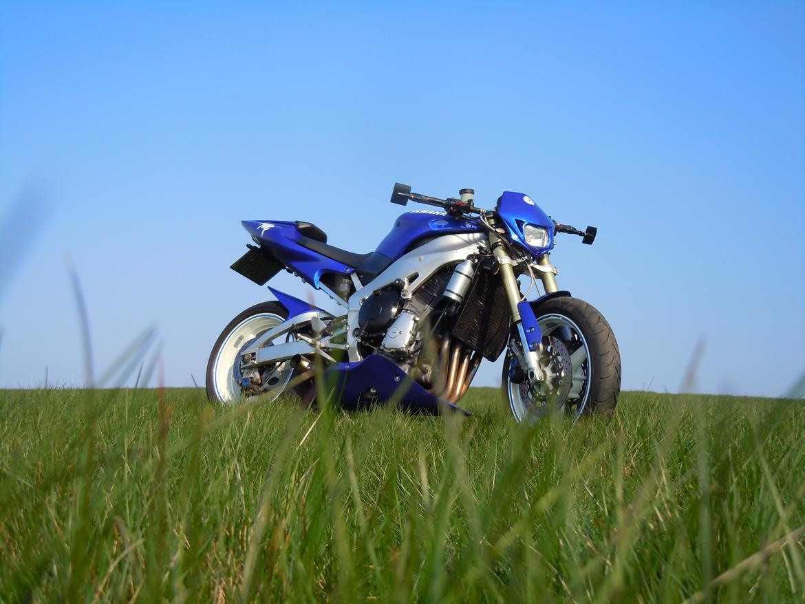 Yamaha R1 Streetfighter billede 6