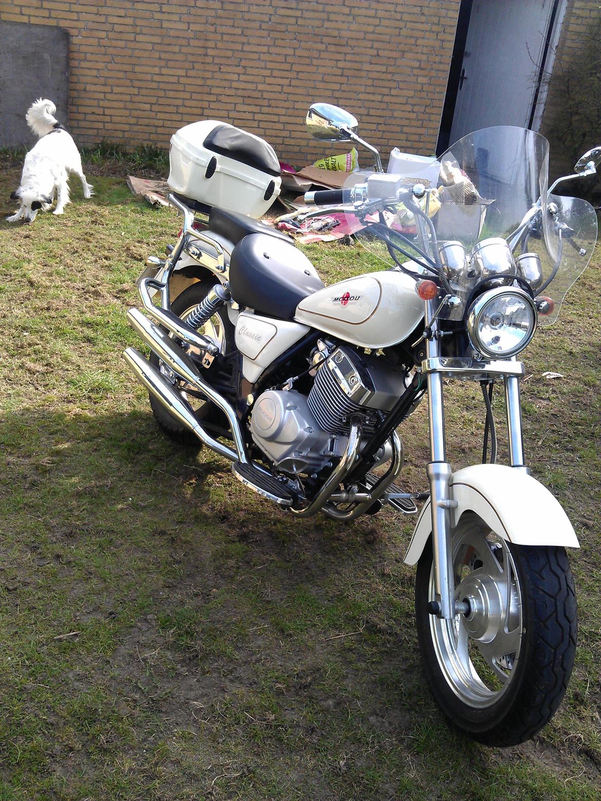 Lifan LF 250-4 - Lige da den kom hjem  billede 13