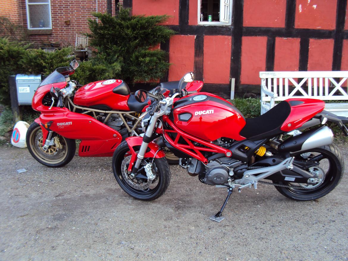Ducati Monster 696 ABS billede 1