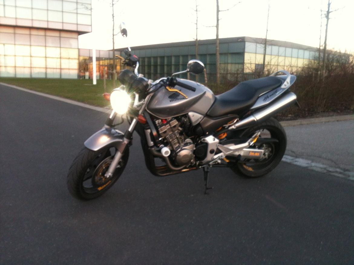 Honda CB900 hornet billede 13