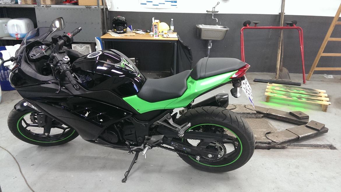 Kawasaki Ninja 300 ABS billede 17