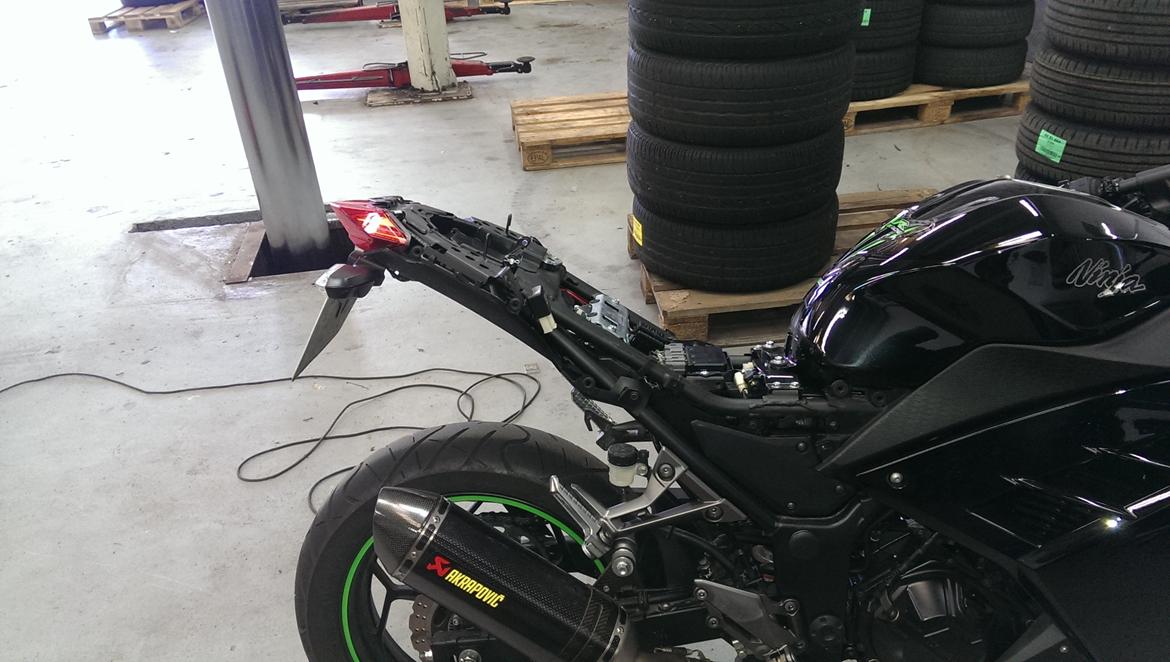 Kawasaki Ninja 300 ABS billede 16