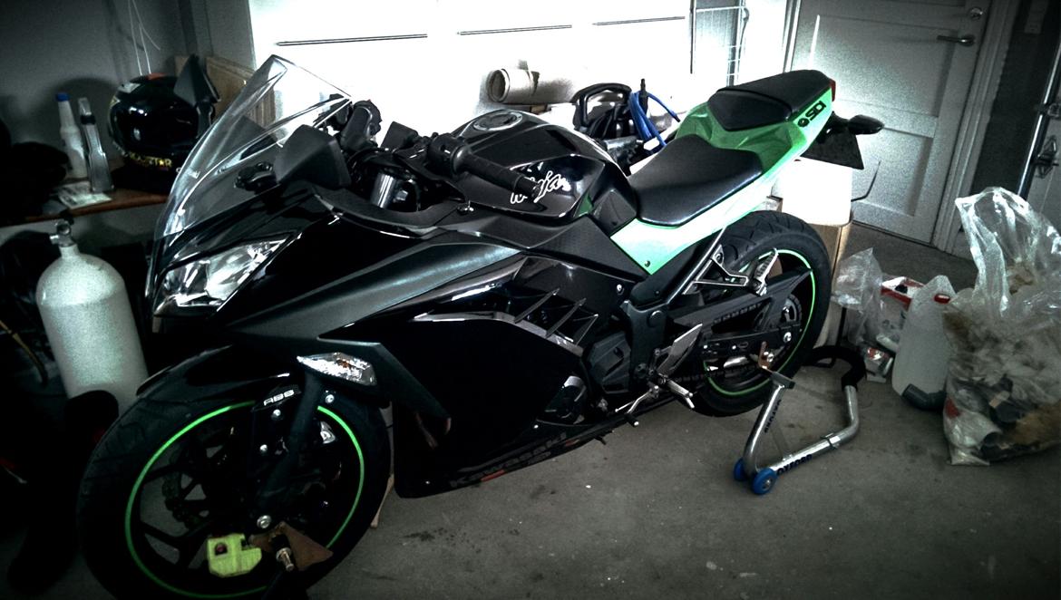 Kawasaki Ninja 300 ABS billede 18