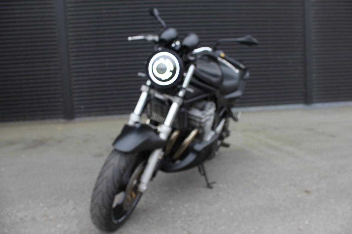 Suzuki Bandit GSF 600 N - Lidt uskarpt med vilje da effekten af lygten træder mere frem. billede 15