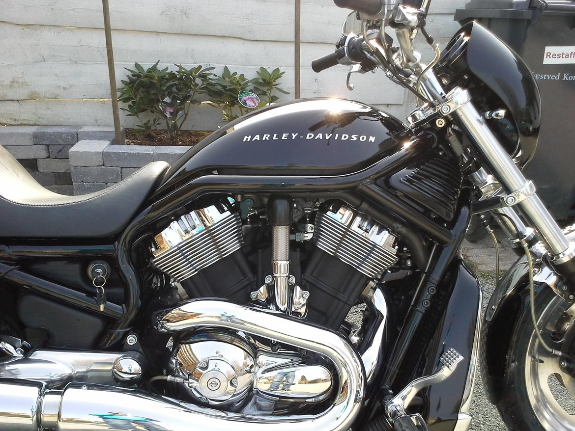 Harley Davidson Harley Davidson Sport Touring VRSCA billede 1