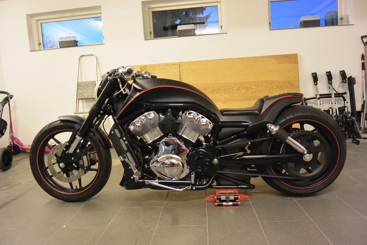 Harley Davidson V rod billede 4