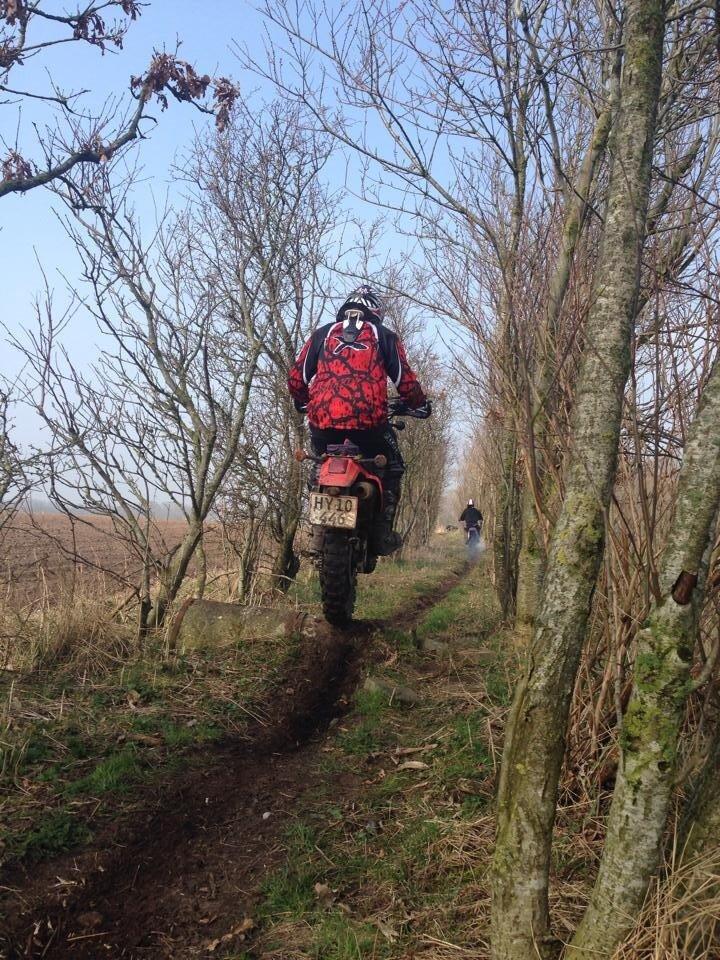 Kawasaki Klx 250 r - Solgt billede 18