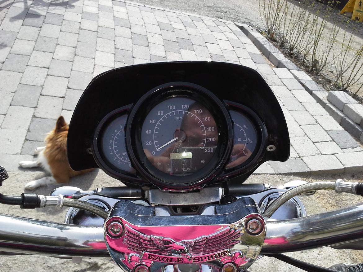 Harley Davidson Harley Davidson Sport Touring VRSCA billede 12