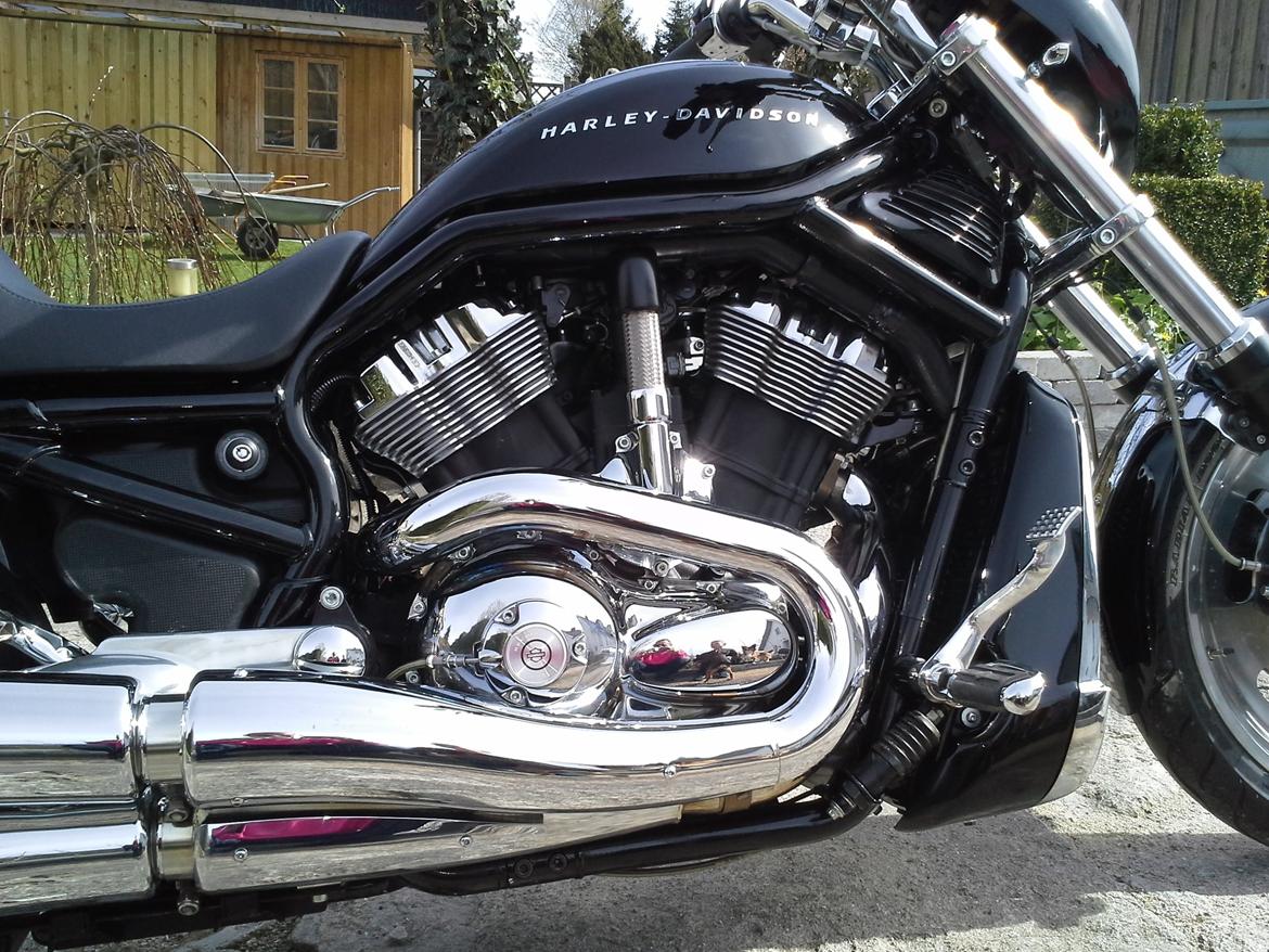 Harley Davidson Harley Davidson Sport Touring VRSCA billede 5