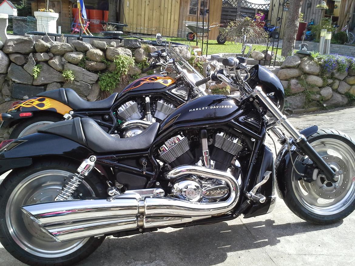 Harley Davidson Harley Davidson Sport Touring VRSCA billede 2