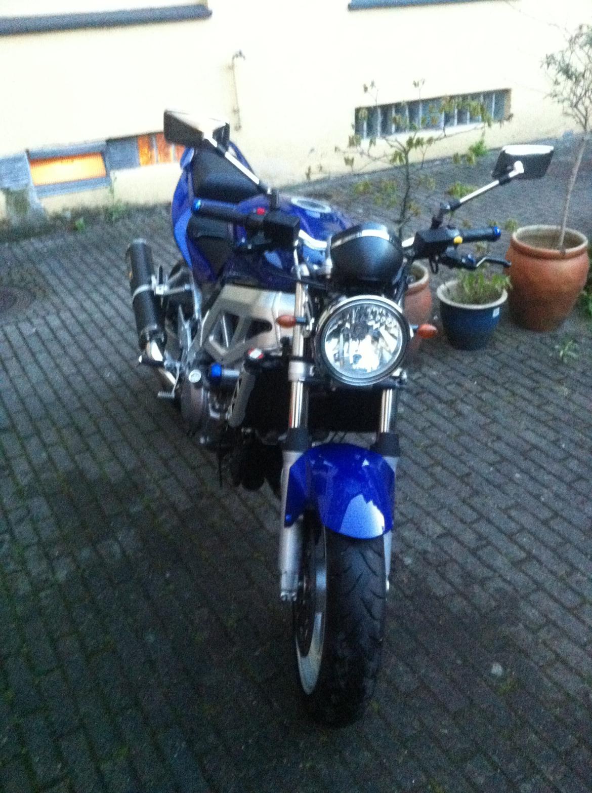 Suzuki Sv1000-N billede 6