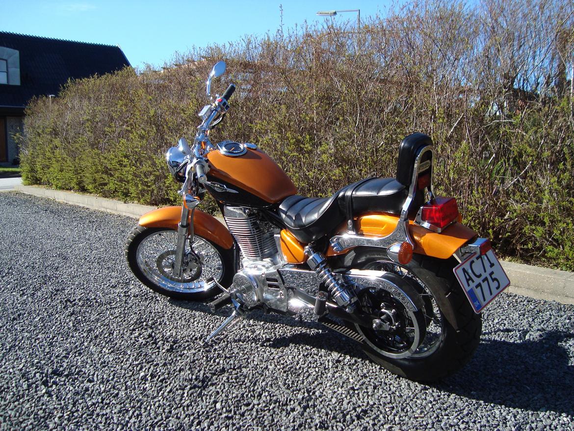 Suzuki LS 650 cc Savage billede 1