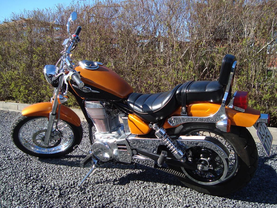 Suzuki LS 650 cc Savage billede 2