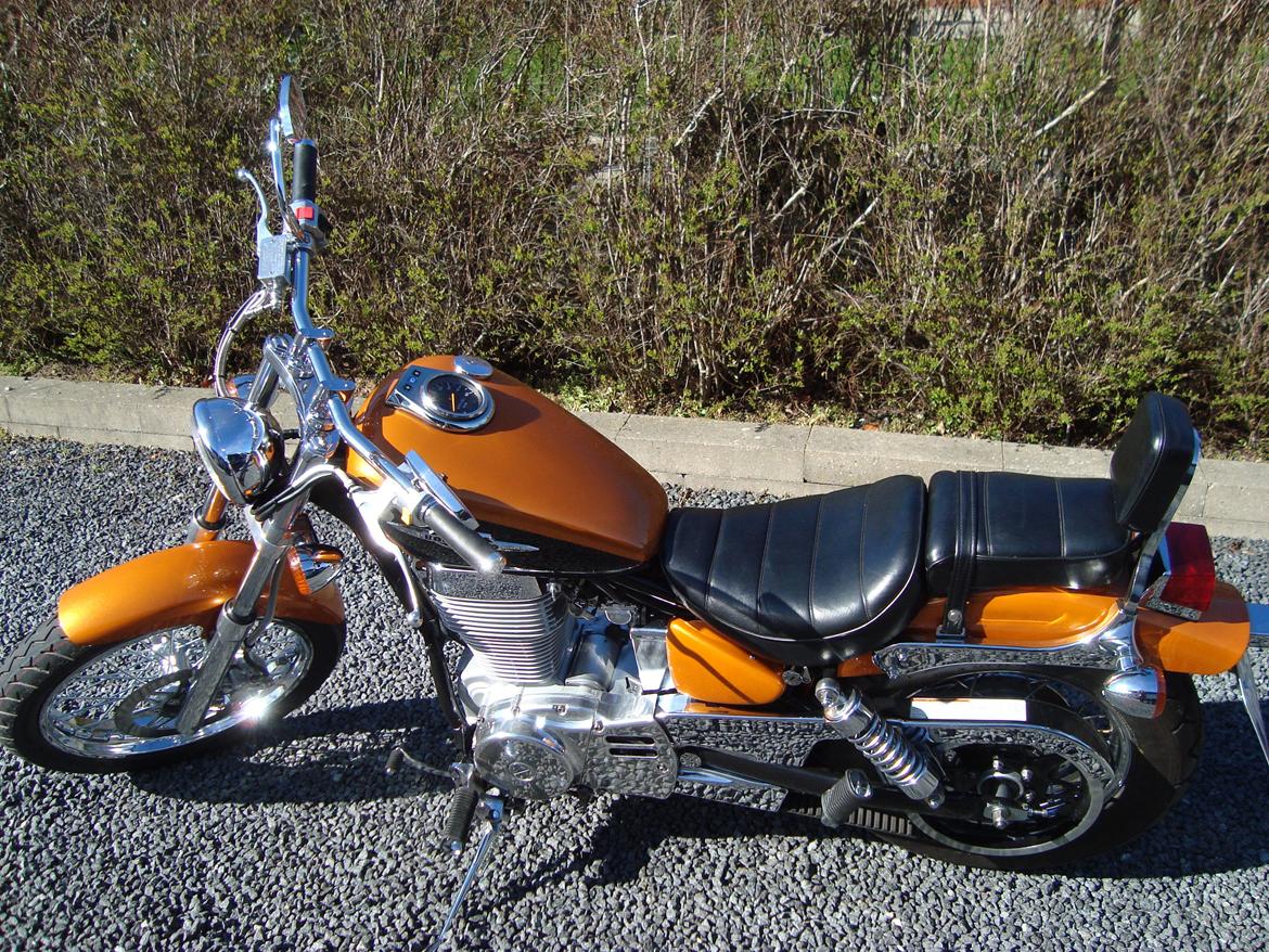 Suzuki LS 650 cc Savage billede 3