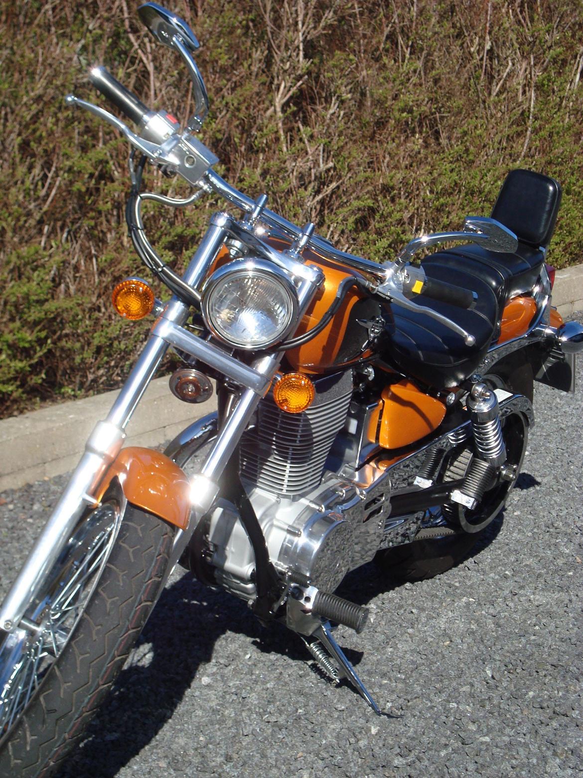 Suzuki LS 650 cc Savage billede 4