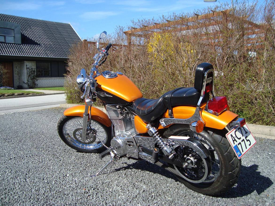 Suzuki LS 650 cc Savage billede 5