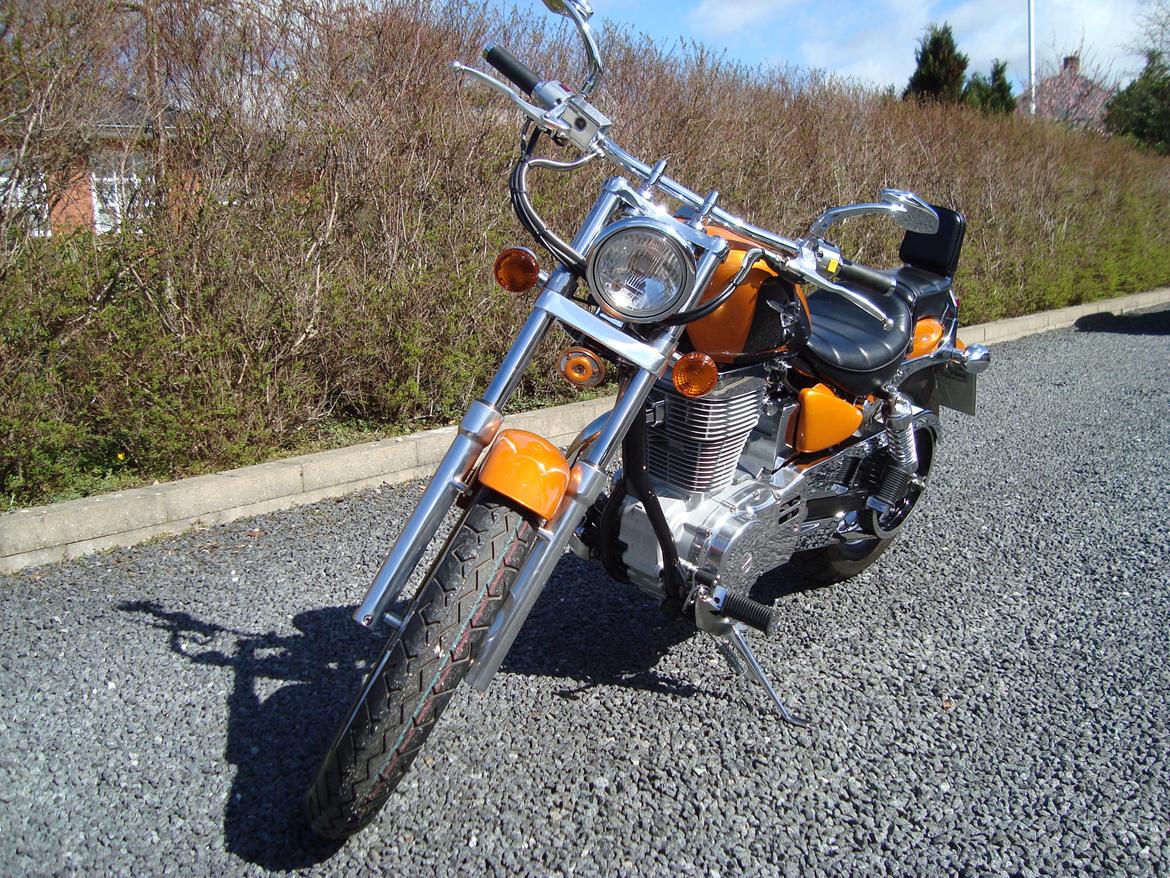 Suzuki LS 650 cc Savage billede 7