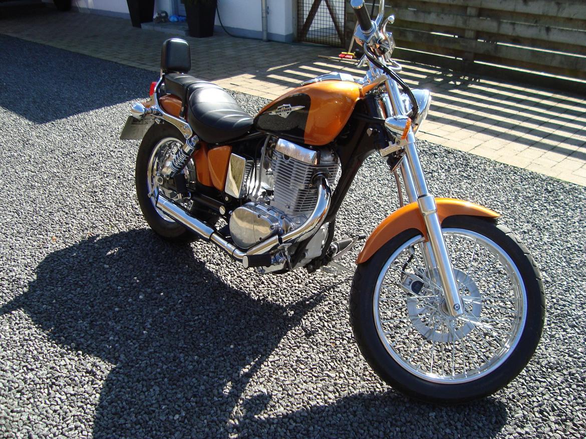 Suzuki LS 650 cc Savage billede 8