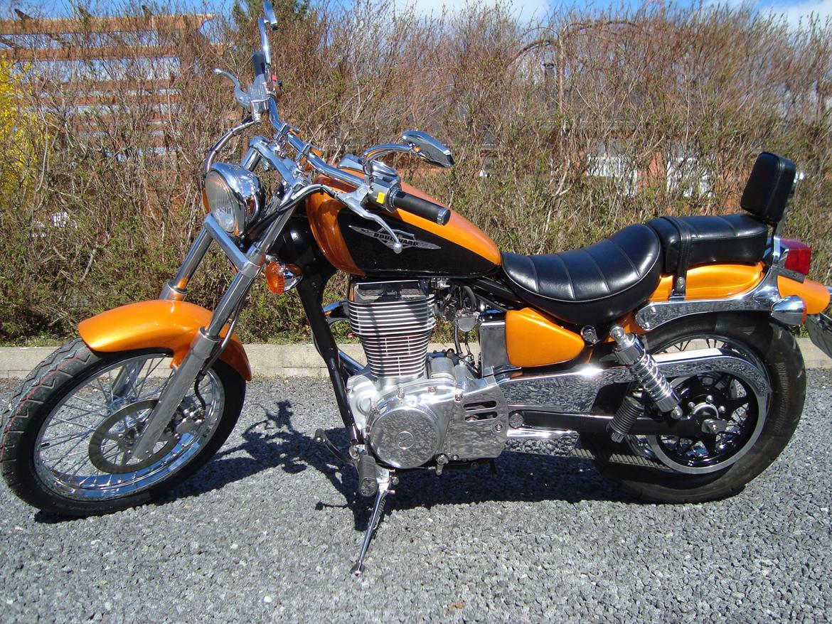 Suzuki LS 650 cc Savage billede 6