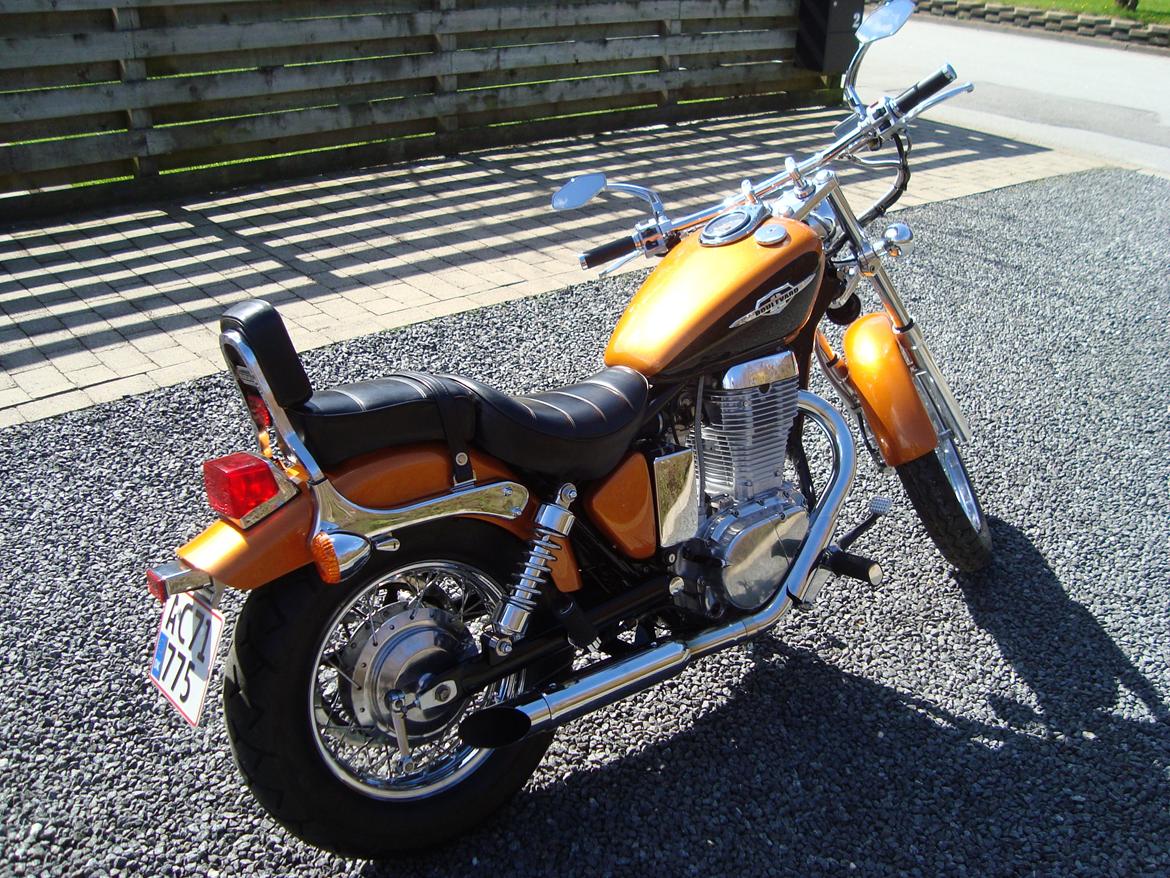Suzuki LS 650 cc Savage billede 9