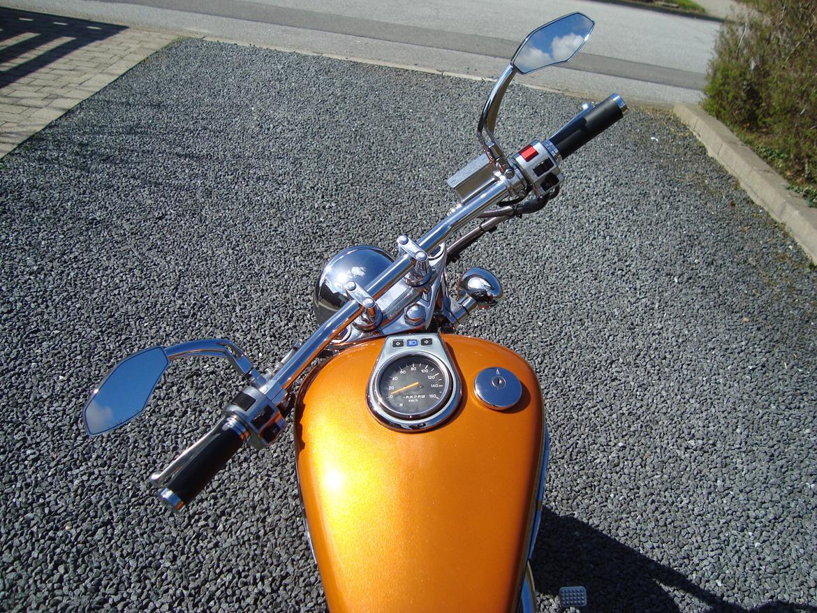 Suzuki LS 650 cc Savage billede 10