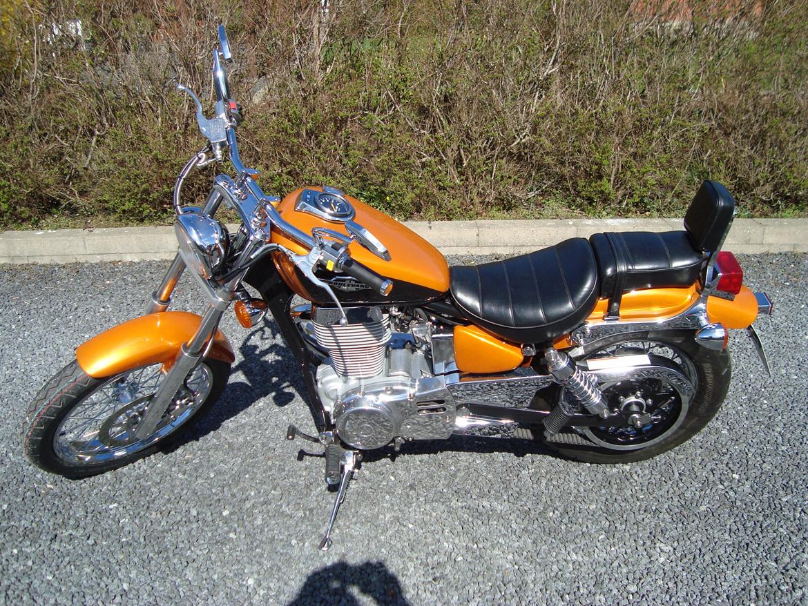 Suzuki LS 650 cc Savage billede 11