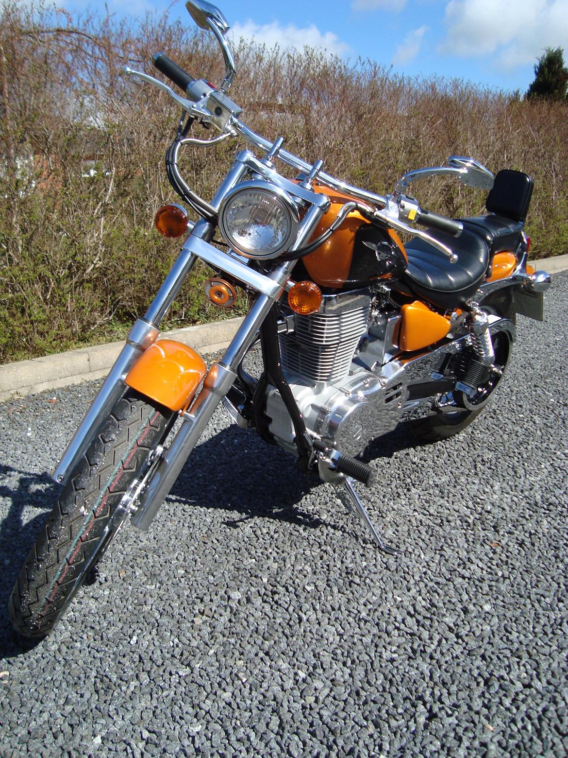 Suzuki LS 650 cc Savage billede 12